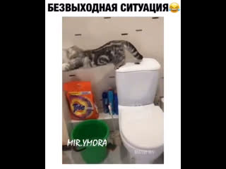 Безвыходная ситуация