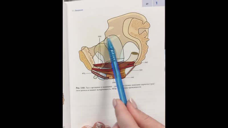 Опущение стенок влагалища