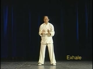 Ян цзюньмин тайцзицюань разминка и растяжка (stretching and warming up yang jwing ming)