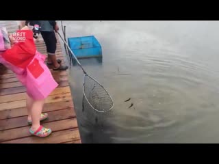 Девочка рыболов! ltdjxrf hs,jkjd! ltdjxrf hs,jkjd! ltdjxrf hs,jkjd!