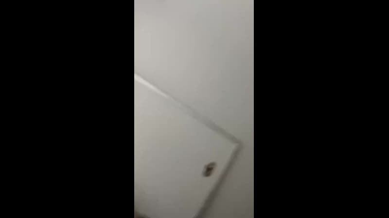 Москва аэропорт шереметьево терминал f