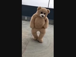 Bear default dance