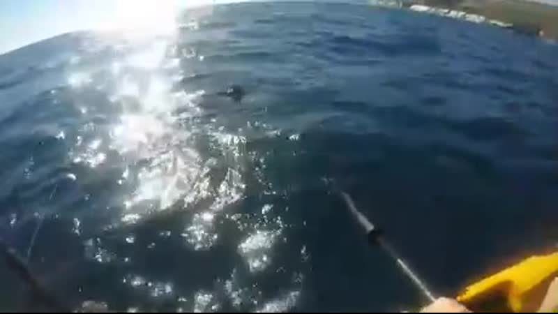 Акула напала на рыбака