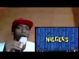 Spongebob niggers