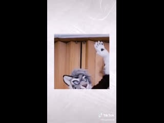 Snep is trying his best to be trendy 😙