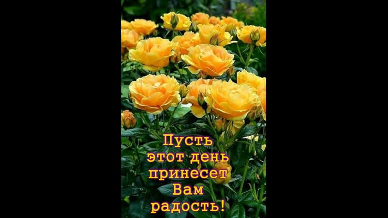 Чудесного воскресного отдыха!автор зоя беликова