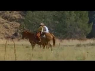 Даже девушки ковбои иногда грустят / even cowgirls get the blues (1993)