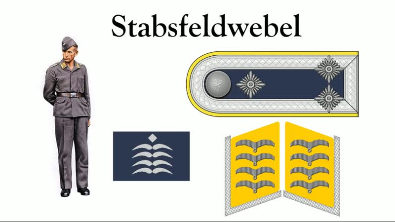 [panzergrenadier] иерархия воинских званий люфтваффе | знаки различия luftwaffe