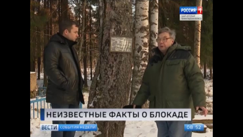 Девушки лесорубы