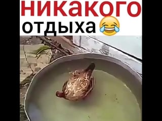 Чего пристали