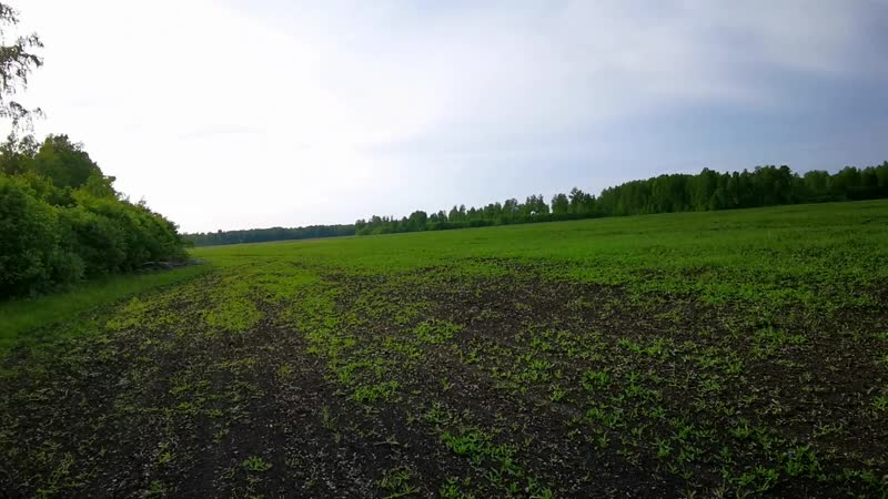 Горькоа, грохот, ласка, масяня выход в поля