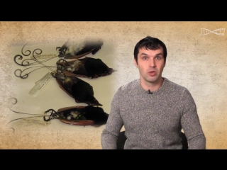 Подделки александр соколов мифы об эволюции человека