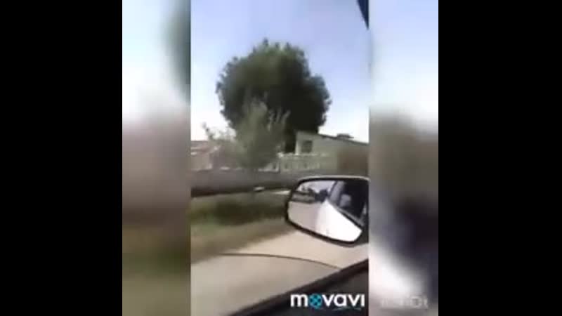 " бодо бодо ту́йлар муборак" ( узбекистон бухоро вилоят бухоро туман шаҳар гала осиё) узбекистан бухарская область г гала асия