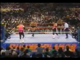 Summerslam 1988