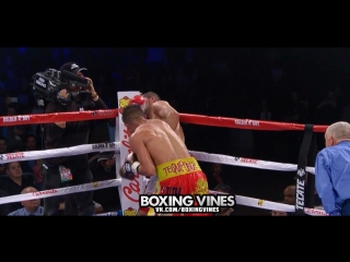 Sadam ali vs jessie vargas (boxing vines) |