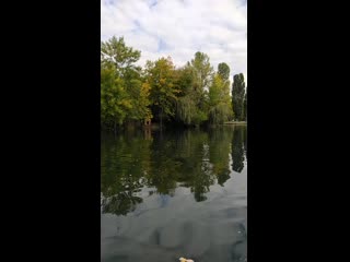 Vid 20201001 141623 mp4