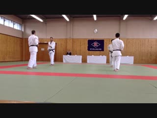 Yamanashi yoshinkan embu 2013 tanto soho