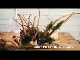 My first 4,5gal tiny aquascape how i made it(reuploaded) mp4