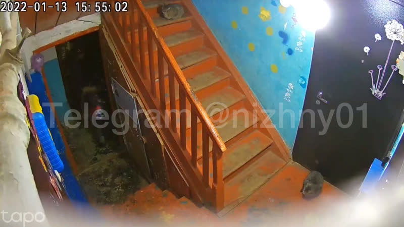 Мамаша пинает ребёнка