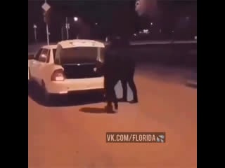 Крадут невесту 😹😻❤️