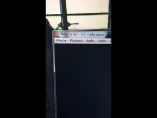 Tgz undying [live shikkoku 28 02]