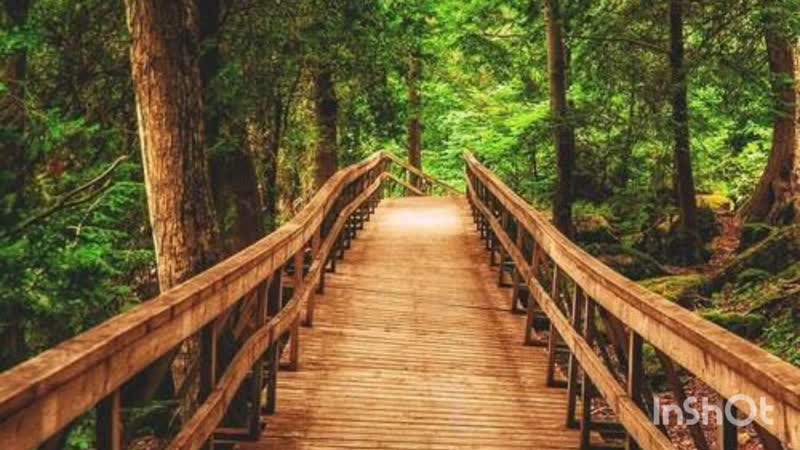 Иллюминаты пицагейт педагейт адринохром массоны элита