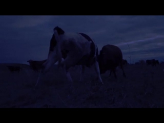 Mudrota (no eto ne tochno)