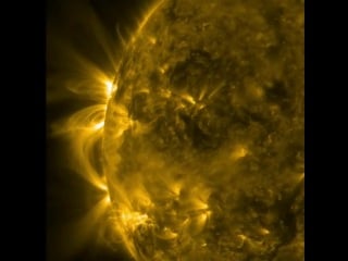 Giant loops of plasma above the sun's surface are swaying back and forth, spanning distances up to an estimated 100,000 miles