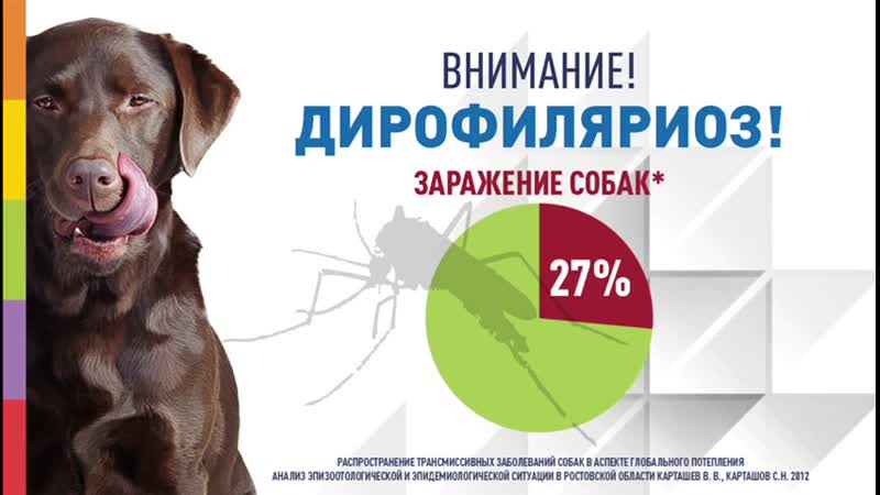 Препарат нексгард спектра