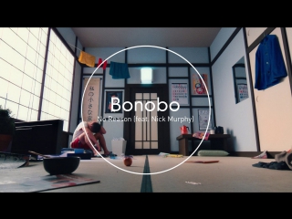 Bonobo no reason (feat nick murphy)