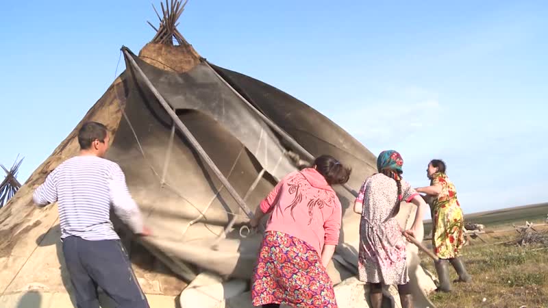 В тундре некогда скучать!