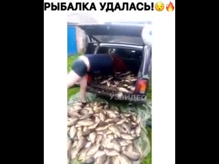 Фигасе улов 😳