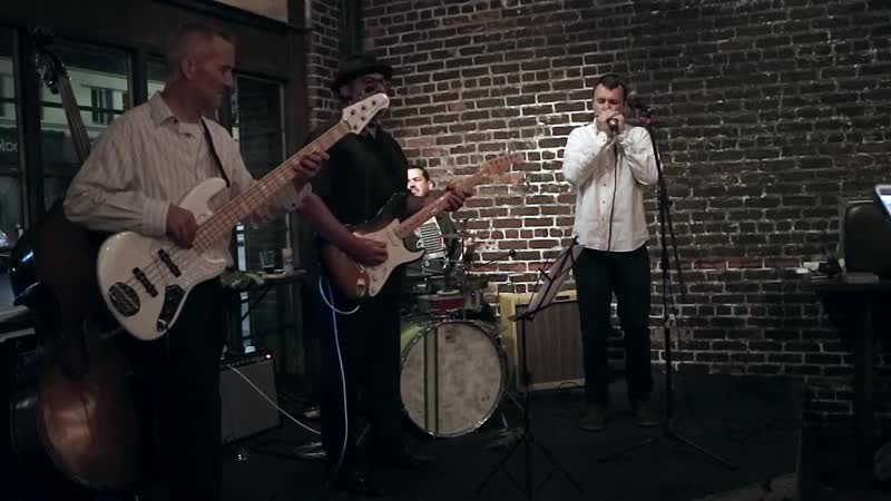 Ilya portnov harmonica solo from strong brew live