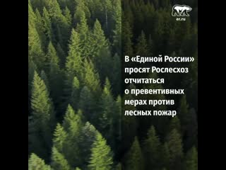 «единая россия» просит рослесхоз отчитаться о пожарах