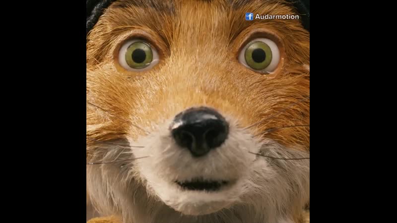 Fantastic mr fox (таңғажайып фокс мырза), wolf scene