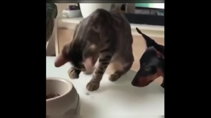 Пpo дpyгa нe зaбыл!)