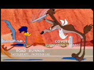 Part (1) the complete road runner and wile e coyote 1949 2003