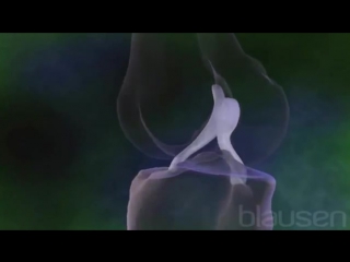 23 травмы передней крестообразной связки коленного сустава