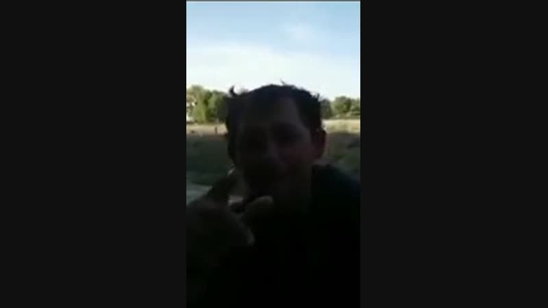 Я такая же хуйня прикол коры угар high(0)