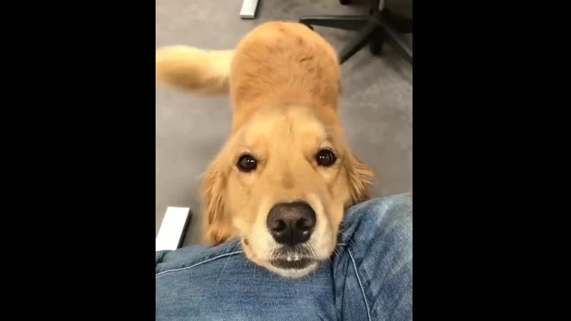 Daisy сan makе sоmеоnе's day just by dоing this