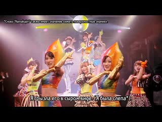 Sdn48 awajishima no tamanegi