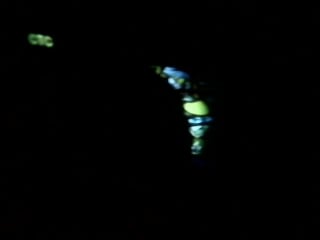 Terra naomi not sorry (стс)