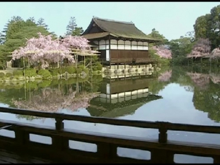 Sakura john singer (shakuhachi master) bamboo flute "shakuhachi"