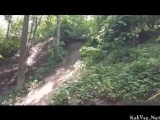 Чуть не споймал дерево