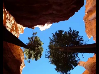 Oliver shanti & friends well balansed the navajo nation