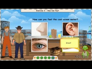 The 5 senses׃ sight, hearing, taste, smell and touch, preschool and kindergarten activities