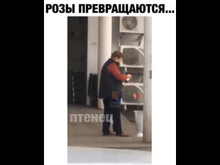 Задворки цветочного рынка