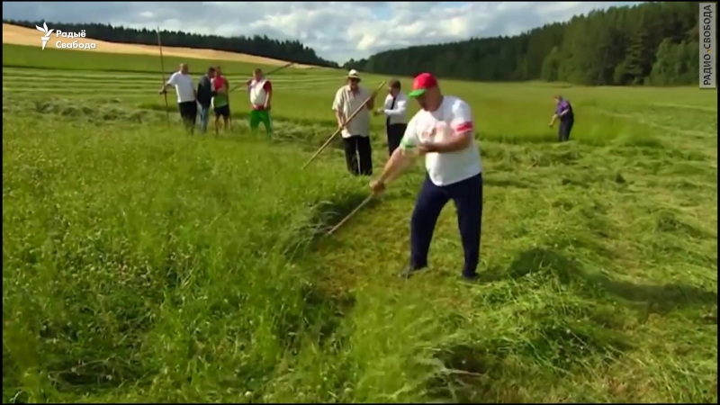Ідэальная бульба як лукашэнка правёў сэлектарную нараду