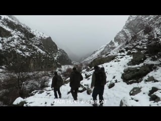 Markhor hunting (world record)