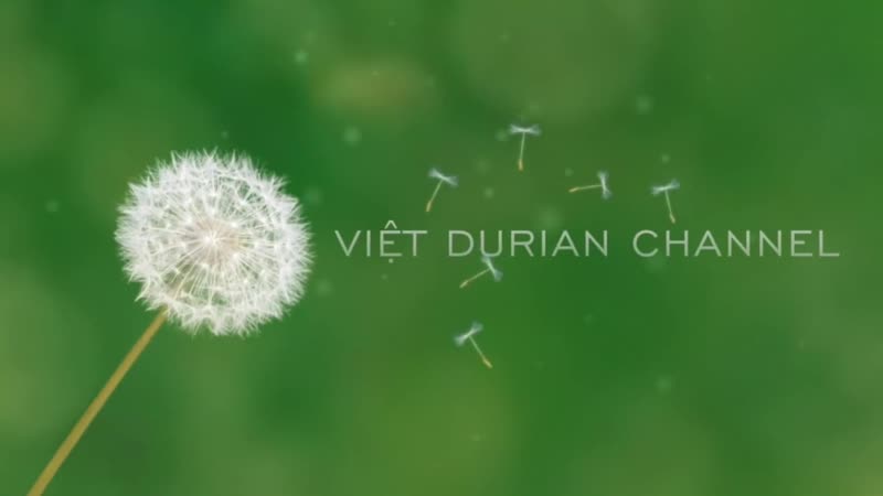 Trấn thành “tố” công ty hari won “lừa nghệ sĩ” khiến khán giả cười lộn ruột và màn đối đáp siêu lầy